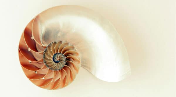 ABM Benefits Customers More Than It Benefits You (And That’s Good!)